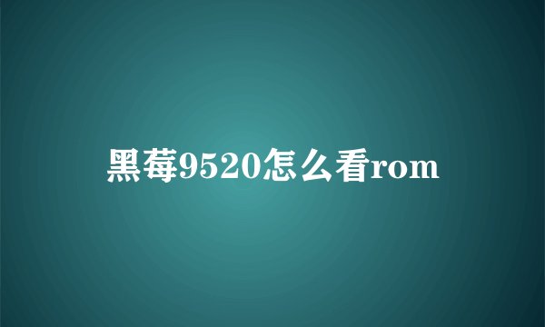 黑莓9520怎么看rom