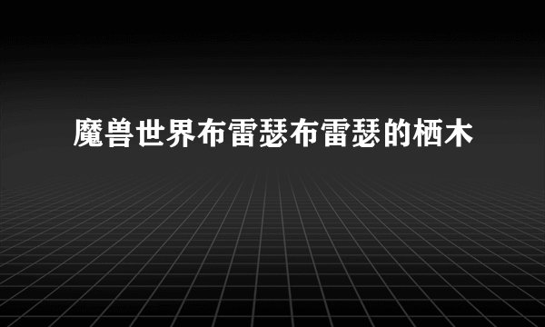 魔兽世界布雷瑟布雷瑟的栖木