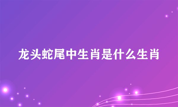 龙头蛇尾中生肖是什么生肖