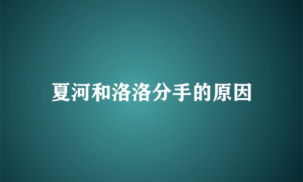 夏河和洛洛分手的原因