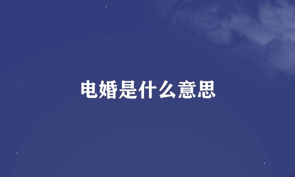电婚是什么意思