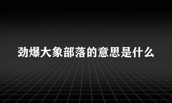 劲爆大象部落的意思是什么