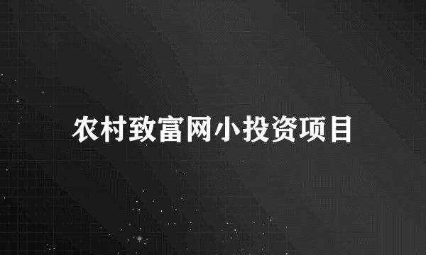 农村致富网小投资项目