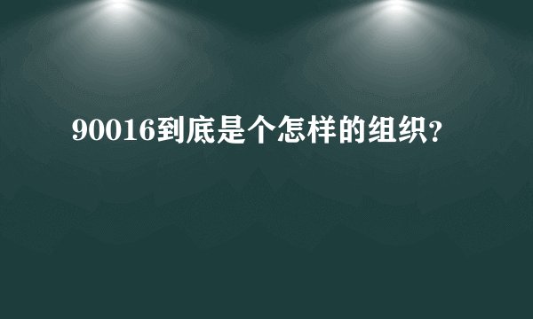 90016到底是个怎样的组织？