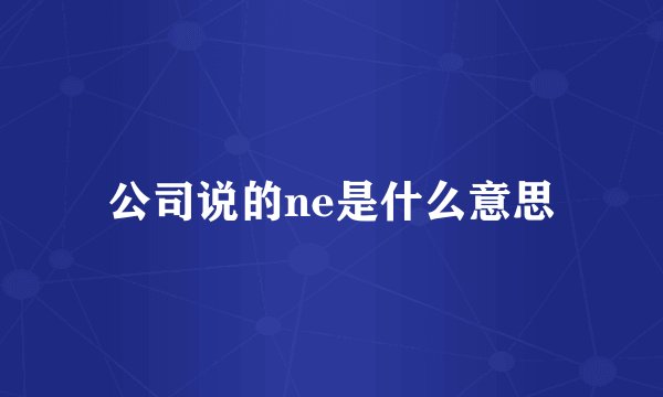 公司说的ne是什么意思