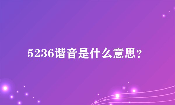 5236谐音是什么意思？
