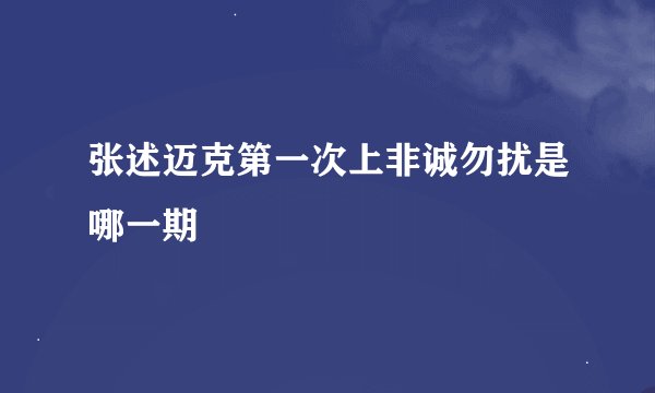 张述迈克第一次上非诚勿扰是哪一期