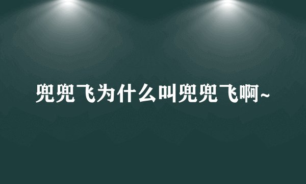 兜兜飞为什么叫兜兜飞啊~