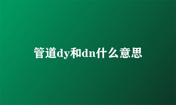 管道dy和dn什么意思