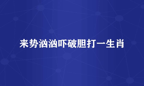 来势汹汹吓破胆打一生肖
