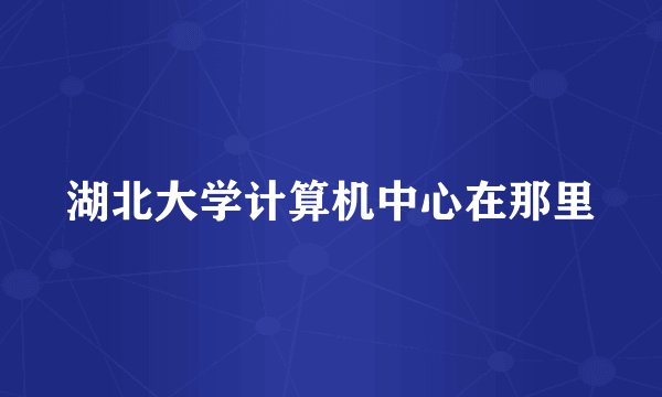 湖北大学计算机中心在那里