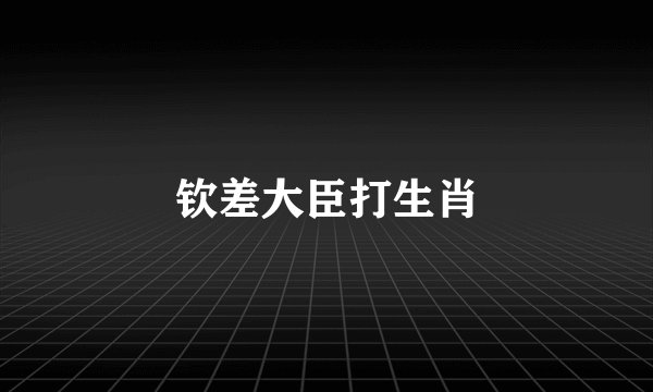 钦差大臣打生肖