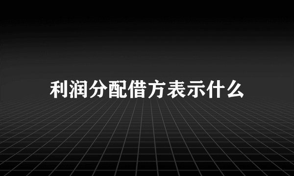 利润分配借方表示什么