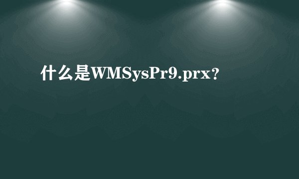 什么是WMSysPr9.prx？