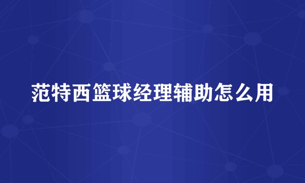 范特西篮球经理辅助怎么用