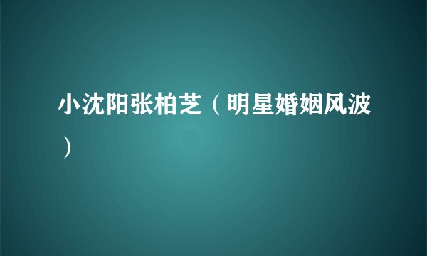 小沈阳张柏芝（明星婚姻风波）