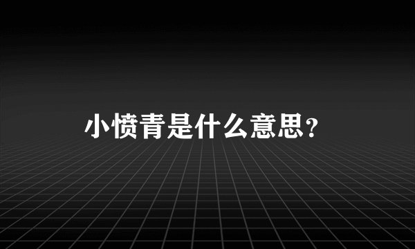 小愤青是什么意思？