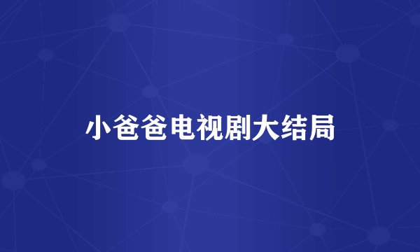 小爸爸电视剧大结局