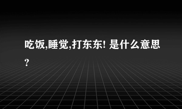 吃饭,睡觉,打东东! 是什么意思?