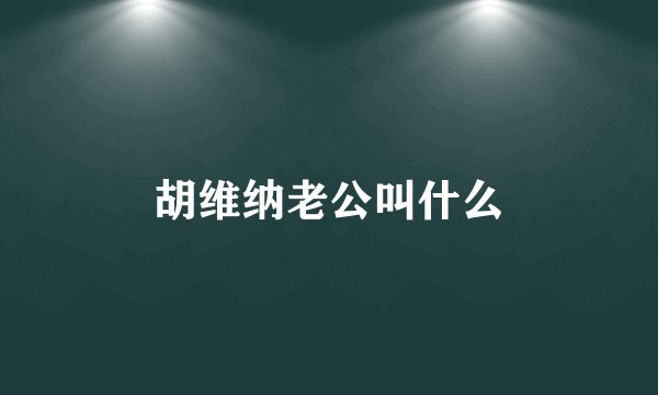 胡维纳老公叫什么