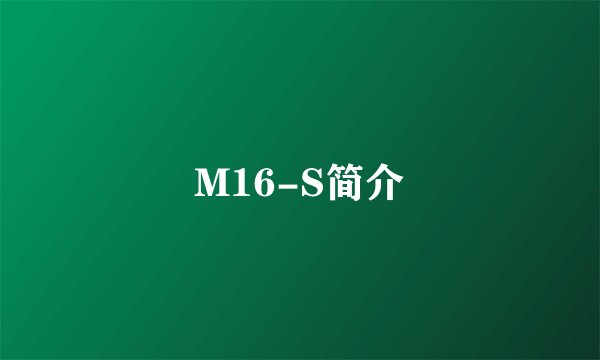 M16-S简介
