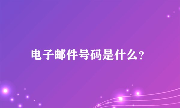 电子邮件号码是什么？