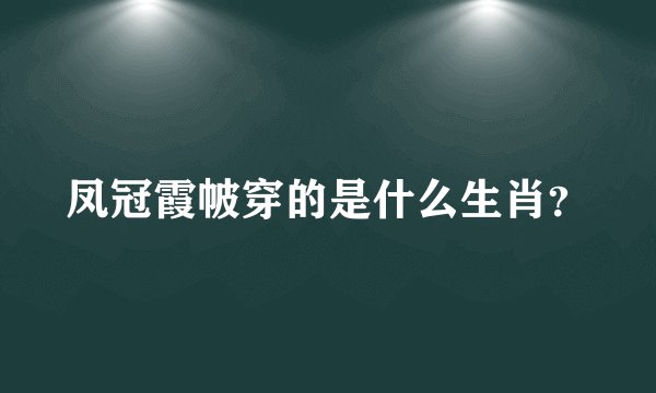 凤冠霞帔穿的是什么生肖？