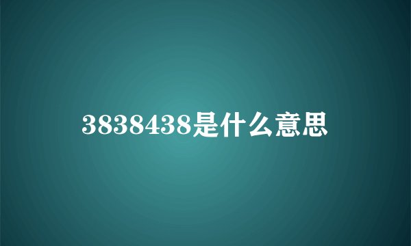 3838438是什么意思