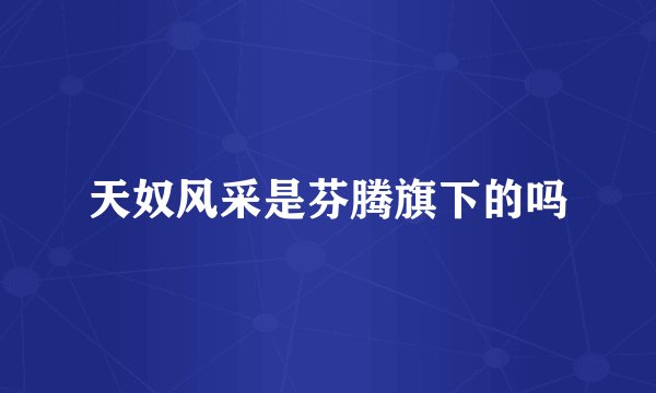 天奴风采是芬腾旗下的吗