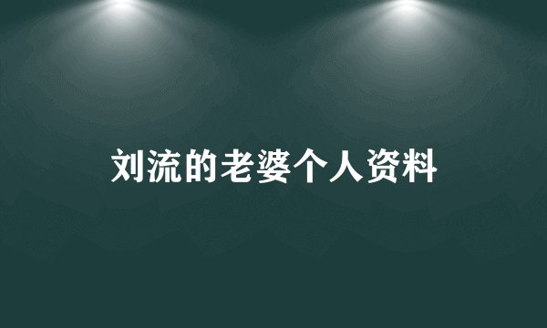 刘流的老婆个人资料