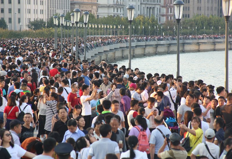 沸沸扬扬打一生肖