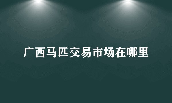 广西马匹交易市场在哪里