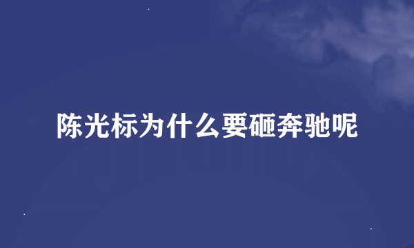 陈光标为什么要砸奔驰呢
