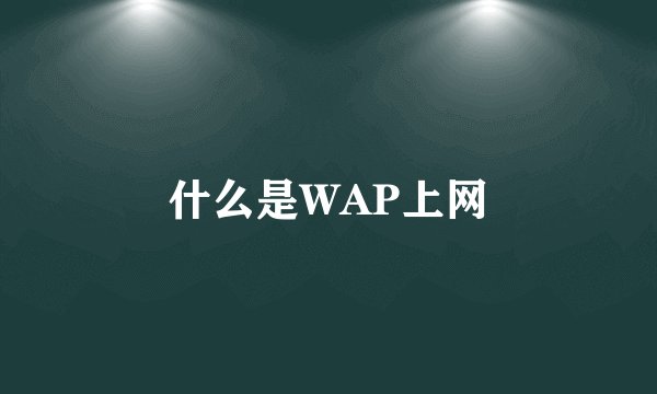 什么是WAP上网