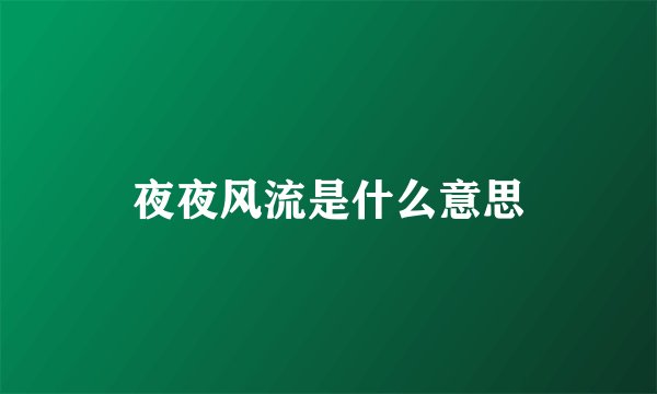 夜夜风流是什么意思