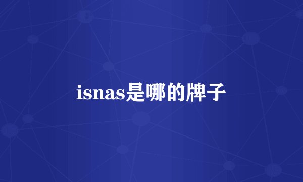 isnas是哪的牌子