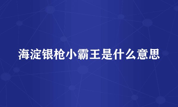 海淀银枪小霸王是什么意思