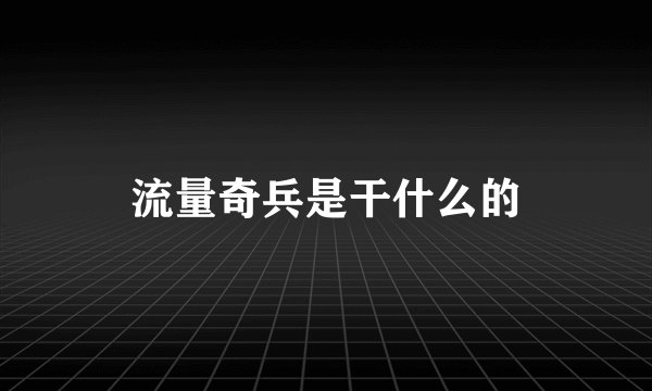 流量奇兵是干什么的
