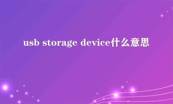 usb storage device什么意思
