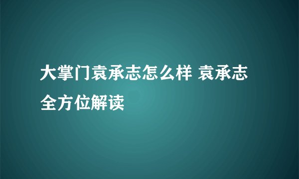 大掌门袁承志怎么样 袁承志全方位解读