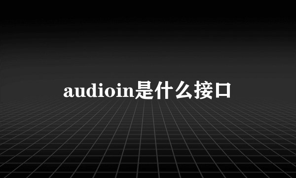 audioin是什么接口