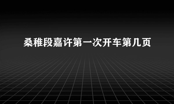 桑稚段嘉许第一次开车第几页