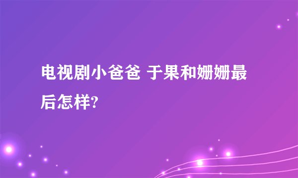 电视剧小爸爸 于果和姗姗最后怎样?