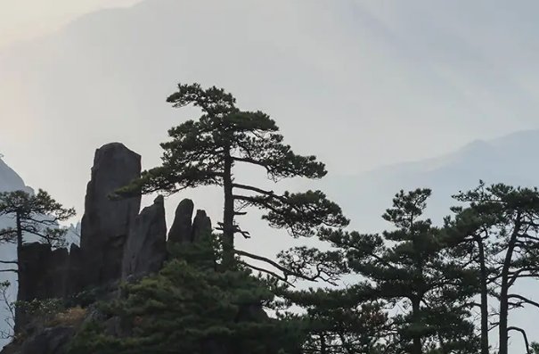 黄山旅游业遭重创“迎客松无客可迎”,疫情下各地旅游城市现状如何?