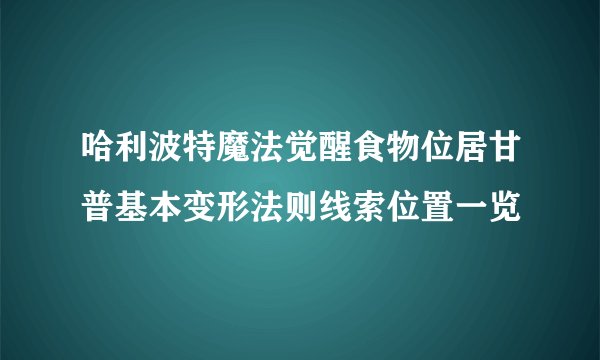 哈利波特魔法觉醒食物位居甘普基本变形法则线索位置一览