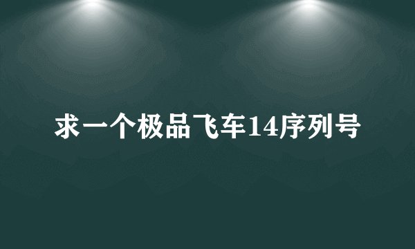 求一个极品飞车14序列号