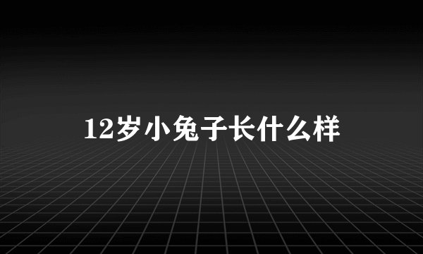 12岁小兔子长什么样
