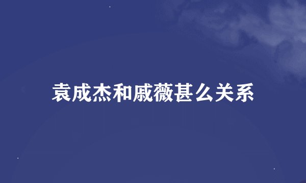 袁成杰和戚薇甚么关系