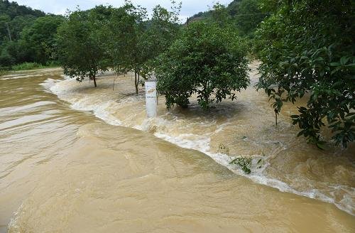 随州洪水过后遍地废车,这些泡水车将会被如何处理?