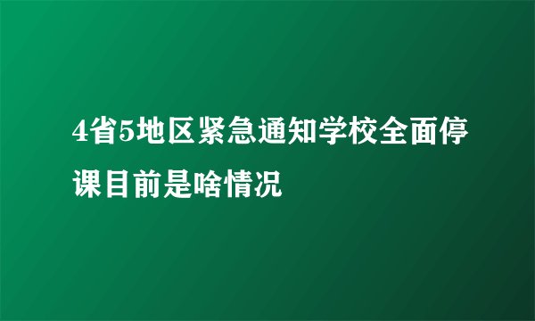 4省5地区紧急通知学校全面停课目前是啥情况
